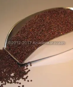 Mosterdzaad - bruine mosterdzaadjes online kopen